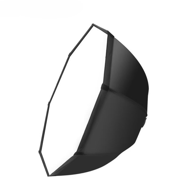 Octagonal Grid Softbox Film an - Photography Lighting Grid 评论和价格